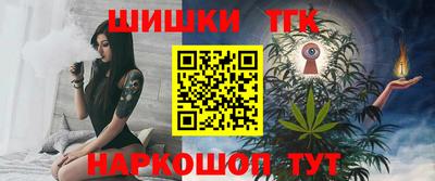 крисы Можга