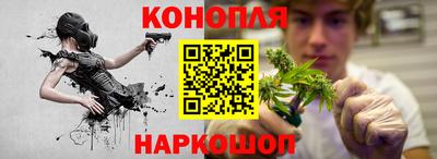 крисы Можга