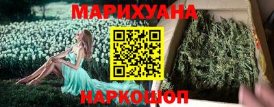 крисы Можга