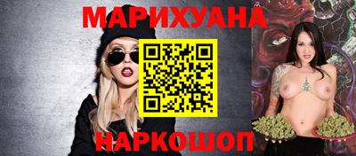 крисы Можга