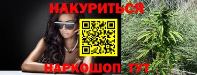 крисы Можга