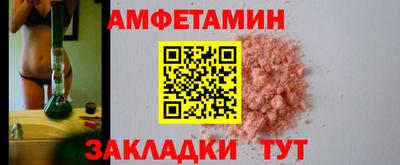 крисы Можга