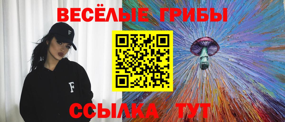 Галлюциногенные грибы Psilocybe Тавда