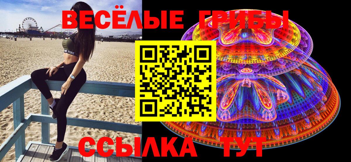 как найти закладки  Вход с VPN  Тавда  Галлюциногенные грибы GOLDEN TEACHER 